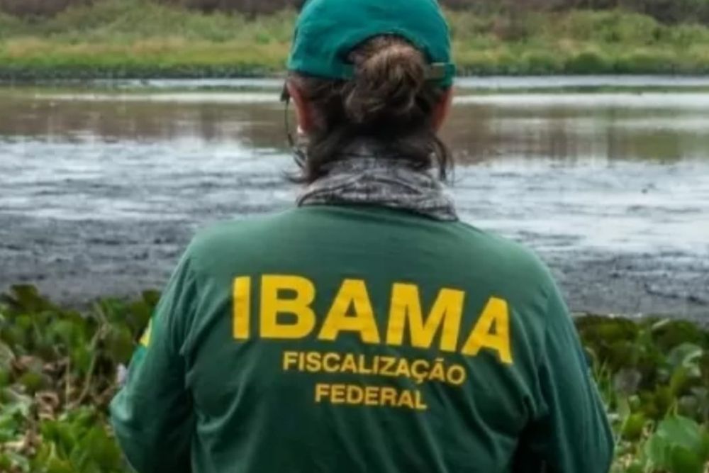 Ministério autoriza concursos com 810 vagas para Ibama e ICMBio Ministério autoriza concursos com 810 vagas para Ibama e ICMBio