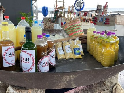 Fepiam participa de 1ª Feira de Negócios e Inovação em comemoração aos 25 anos da Afeam