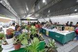 46ª Expoagro vai movimentar R$230 milhões em recursos voltados ao setor primário no Amazonas