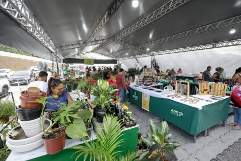 46ª Expoagro vai movimentar R$230 milhões em recursos voltados ao setor primário no Amazonas