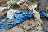 Corpo esquartejado é encontrado enrolado em lona na avenida das Flores