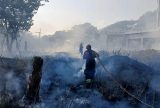 Governo Federal duplica efetivo de forças no combate a incêndios florestais