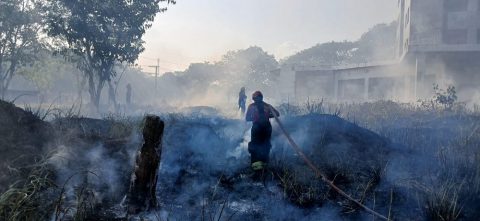Governo Federal duplica efetivo de forças no combate a incêndios florestais