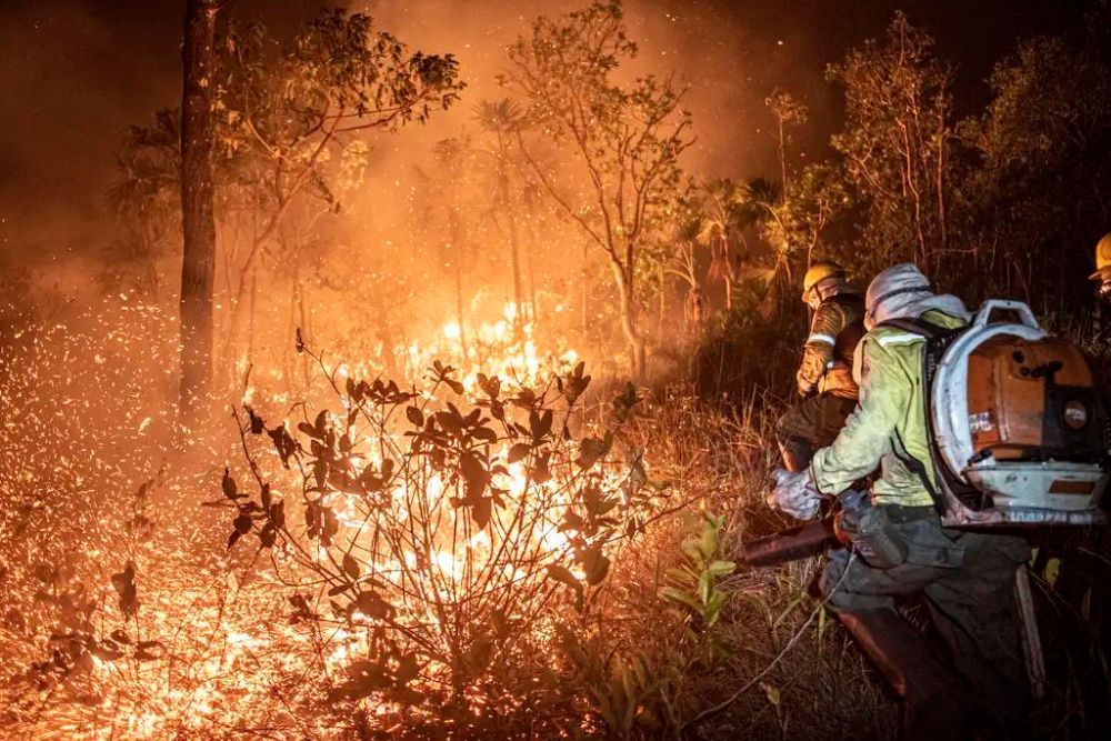 Monitoramento mostra que 99% dos inc&ecirc;ndios s&atilde;o por a&ccedil;&atilde;o humana