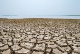 Rio Negro registra maior seca em 122 anos