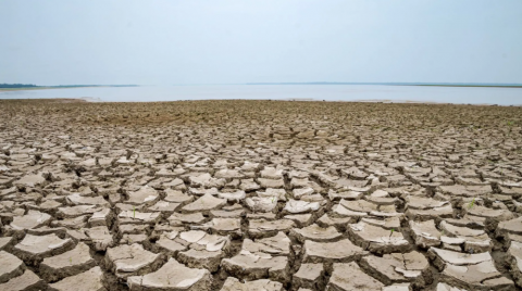 Rio Negro registra maior seca em 122 anos