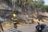 Homem é flagrado ateando fogo em área externa do Inpa