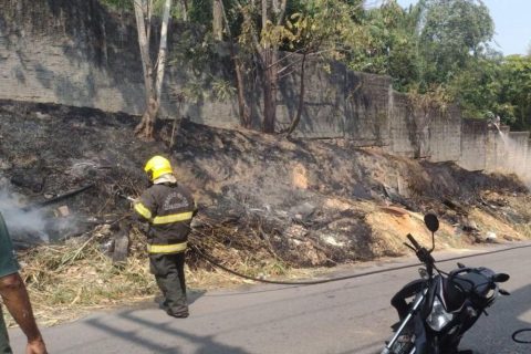 Homem é flagrado ateando fogo em área externa do Inpa