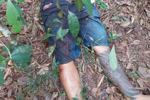Corpo de homem é encontrado com bilhete em área de mata na rodovia AM-010