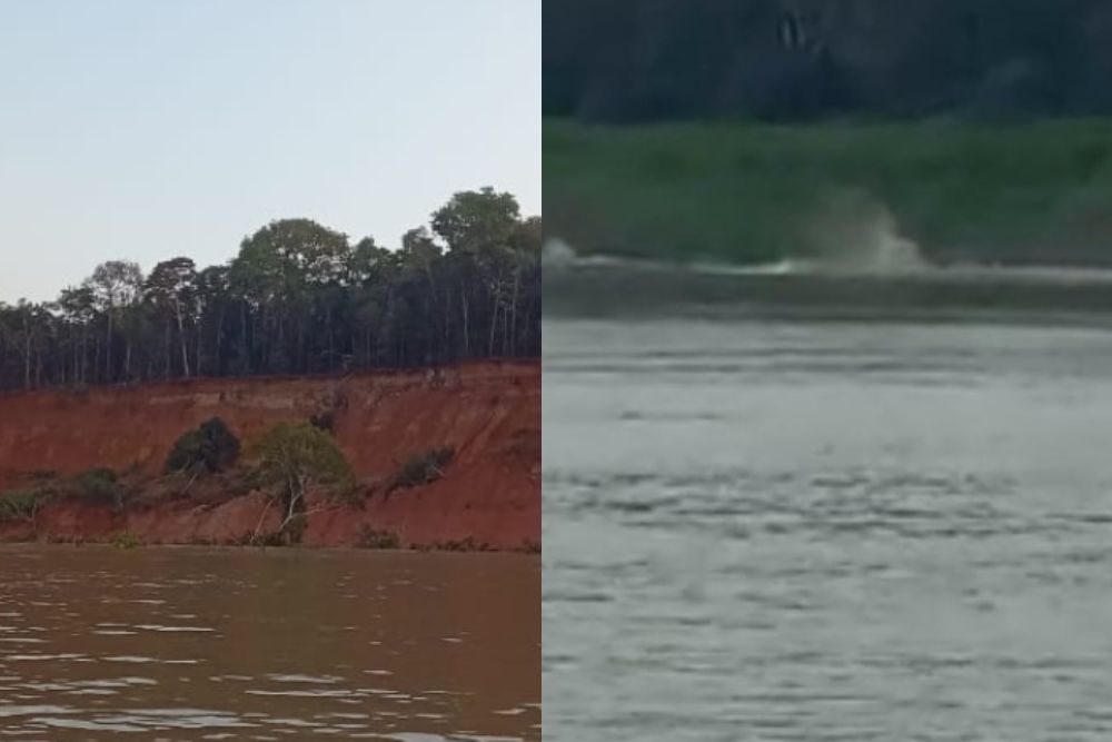 Moradores das margens do Rio Solimões se assustam e gravam registros do fenômeno 'terras caídas' Moradores das margens do Rio Solimões se assustam e gravam registros do fenômeno 'terras caídas'