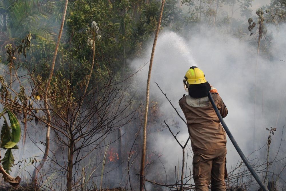 Força Nacional do SUS atende municípios mais afetados pelas queimadas em Rondônia Força Nacional do SUS atende municípios mais afetados pelas queimadas em Rondônia