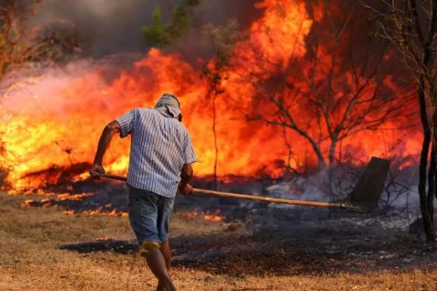 Brasil registra queda de 65,8% nas áreas queimadas no primeiro semestre de 2025