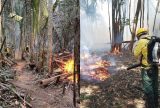 Incêndios ameaçam comunidades no Lago Maçarico e Terra Indígena Rio Jumas