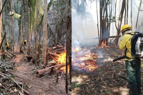 Incêndios ameaçam comunidades no Lago Maçarico e Terra Indígena Rio Jumas