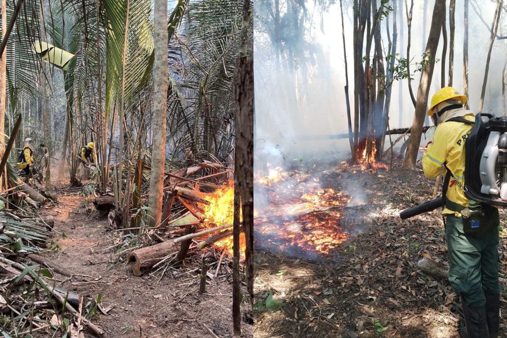 Inc&ecirc;ndios amea&ccedil;am comunidades no Lago Ma&ccedil;arico e Terra Ind&iacute;gena Rio Jumas