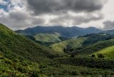 Operação contra o desmatamento da Mata Atlântica começa em 17 estados
