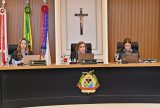 TCE-AM cria comitê para intensificar o enfrentamento às queimadas no AM