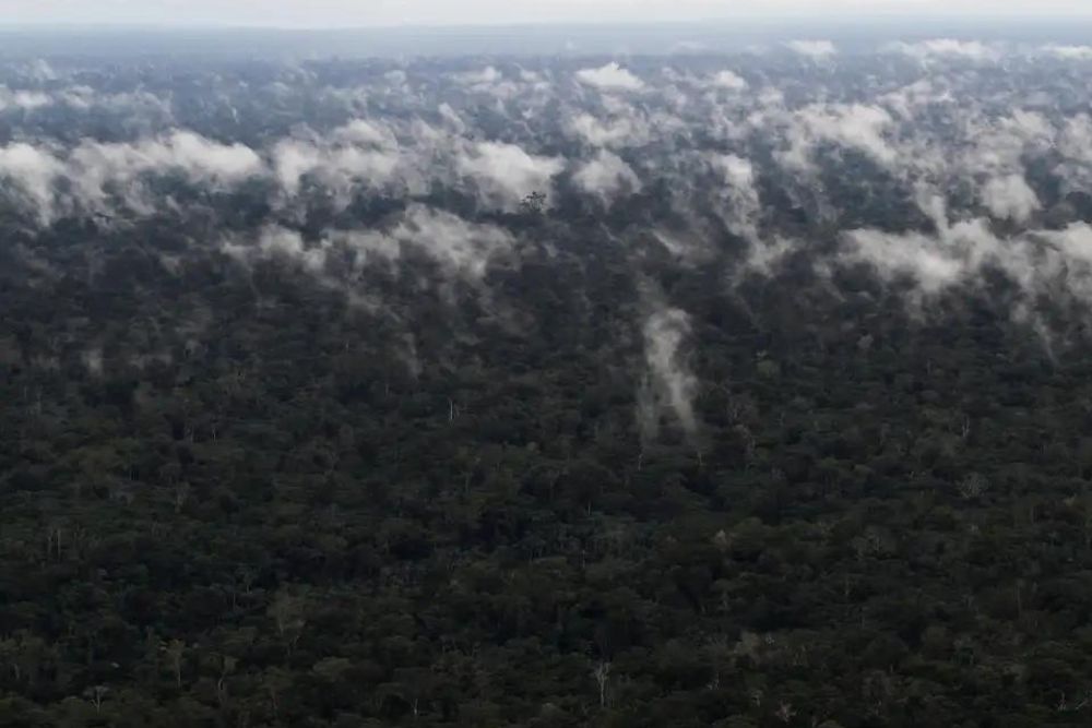 Emissão de gases do efeito estufa por queimadas na Amazônia cresce 60% Emissão de gases do efeito estufa por queimadas na Amazônia cresce 60%
