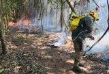 Ibama autoriza contratação de brigadas temporárias para reforçar combate a incêndios florestais