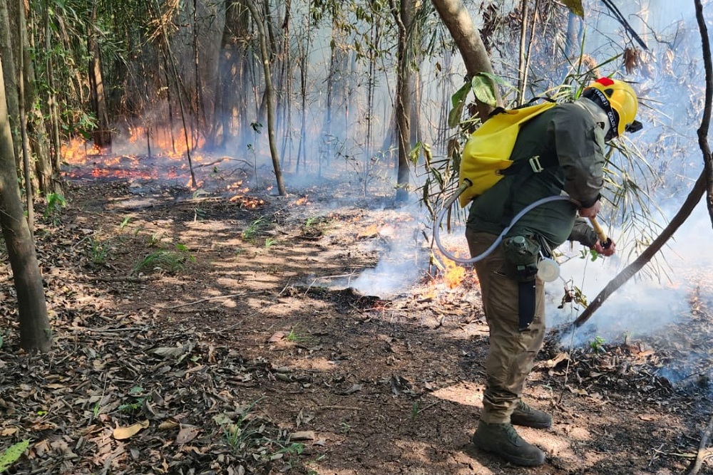 Ibama autoriza contrata&ccedil;&atilde;o de brigadas tempor&aacute;rias para refor&ccedil;ar combate a inc&ecirc;ndios florestais