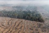 Incêndios na Amazônia se concentram em locais onde agronegócio avança na região
