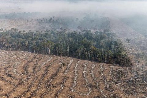 Incêndios na Amazônia se concentram em locais onde agronegócio avança na região
