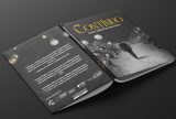 Professor Daniel Cristovão lança livro 'Contínuo' e promove nova onda de criatividade entre estudantes em Manaus 