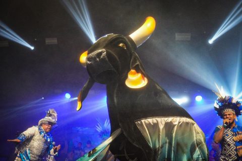 Caprichoso emociona e encanta público durante maior evento varejista do Brasil