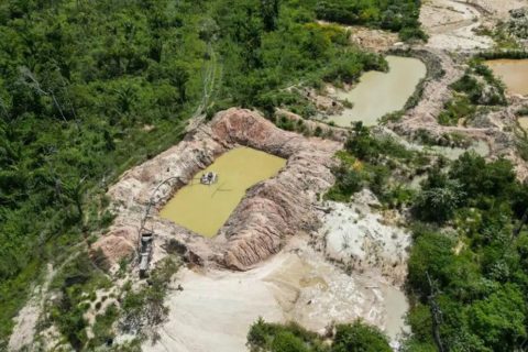 Terra Indígena Kayapó tem mais de 17% do território tomado pelo fogo