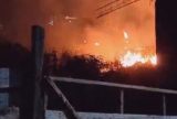 Incêndios em áreas verdes nas Zonas Norte e Leste forçam moradores a abandonarem suas casas
