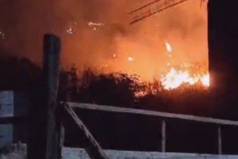 Incêndios em áreas verdes nas Zonas Norte e Leste forçam moradores a abandonarem suas casas
