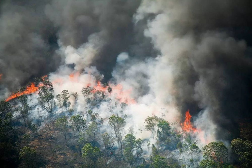Brasil registra 30 milhões de hectares atingidos por queimadas em 2024 Brasil registra 30 milhões de hectares atingidos por queimadas em 2024