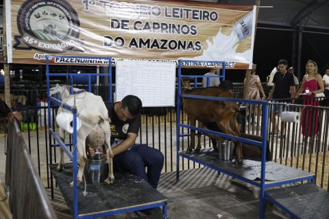 Sepror promove 1º Torneio Leiteiro de Caprinos durante Expoagro 2024