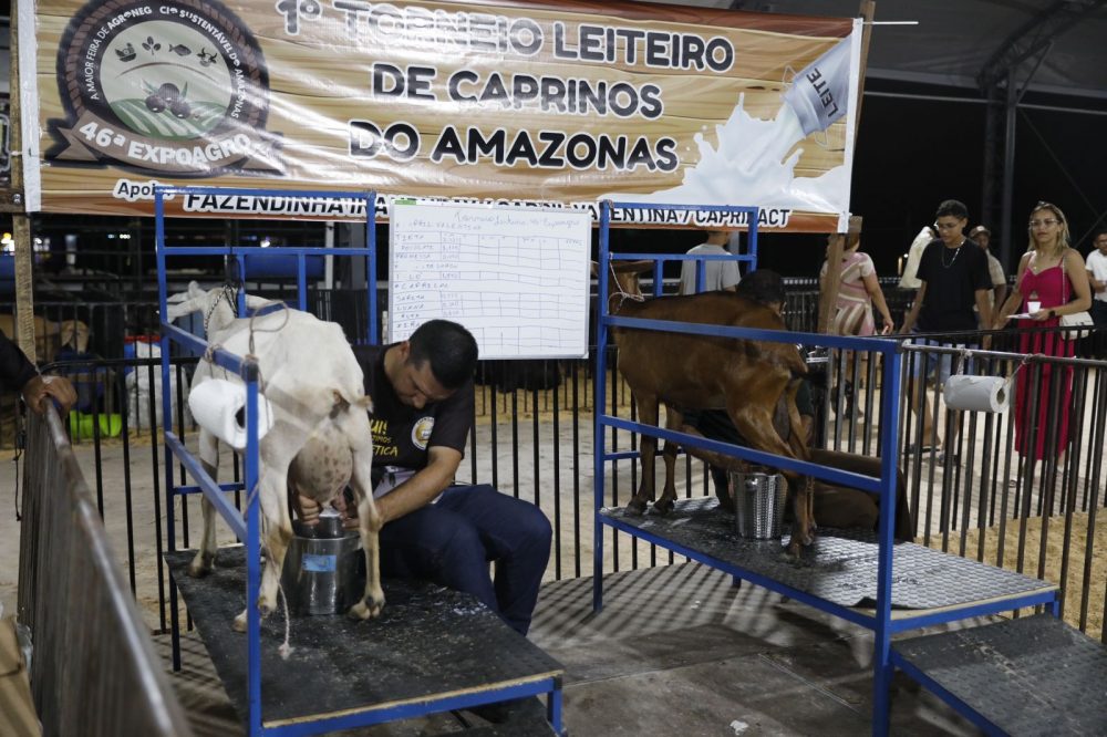 Sepror promove 1º Torneio Leiteiro de Caprinos durante Expoagro 2024 Sepror promove 1º Torneio Leiteiro de Caprinos durante Expoagro 2024