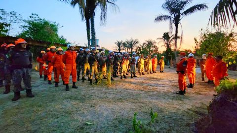 Bombeiros controlam focos de incêndio em área de mata da Cachoeira do Castanho, em Iranduba