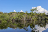 Rio Negro inicia 2026 acima de 20 metros e indica retomada após anos de seca
