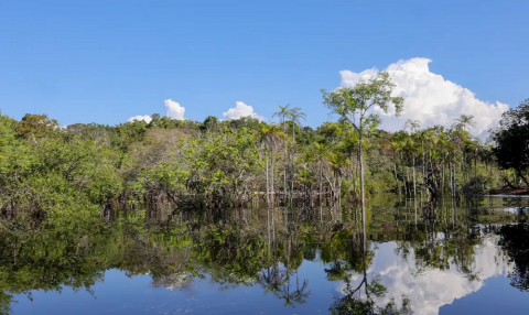 Rio Negro inicia 2026 acima de 20 metros e indica retomada após anos de seca