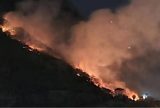 Bombeiros combatem focos de incêndio na Floresta da Tijuca por mais de 14 horas