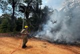 Em setembro, bombeiros combateram mais de 6,6 mil focos de incêndio no Amazonas