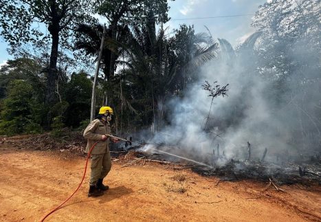 Em setembro, bombeiros combateram mais de 6,6 mil focos de incêndio no Amazonas