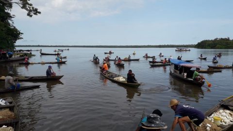 Governo Federal libera Seguro Defeso para pescadores afetados pela seca no AM