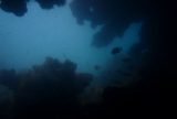 Pela primeira vez, Brasil registra existência de cavernas submarinas