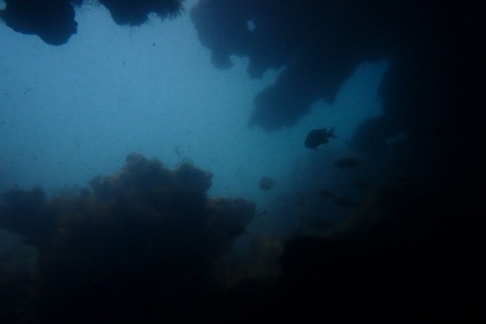 Pela primeira vez, Brasil registra existência de cavernas submarinas Pela primeira vez, Brasil registra existência de cavernas submarinas