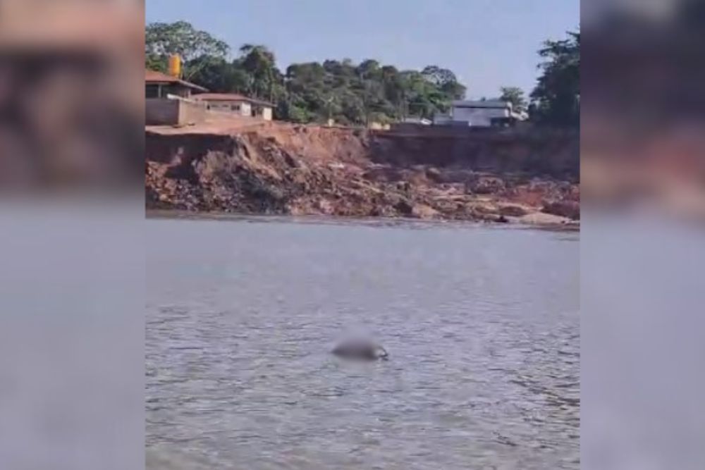 Corpo é encontrado em área de desbarrancamento do Porto da Terra Preta Corpo é encontrado em área de desbarrancamento do Porto da Terra Preta