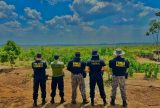 Governo autoriza concurso público para Polícia Federal