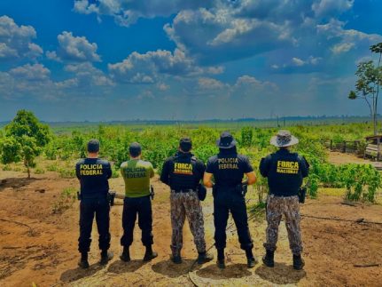Governo autoriza concurso público para Polícia Federal