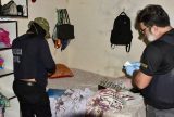 Polícia intensifica combate à violência sexual contra crianças e adolescentes e registra 226 prisões no Amazonas