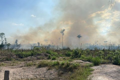 PF prende suspeito de provocar queimadas ilegais no Amapá