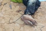 Junto a bilhete, corpo é encontrado com sinais de espancamento no ramal do Brasileirinho