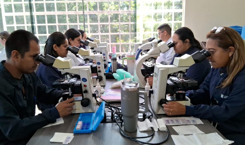 Profissionais de sa&uacute;de participam de treinamento especializado no diagn&oacute;stico de mal&aacute;ria em Manaus